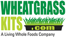 Wheatgrasskits.com Promo Codes 